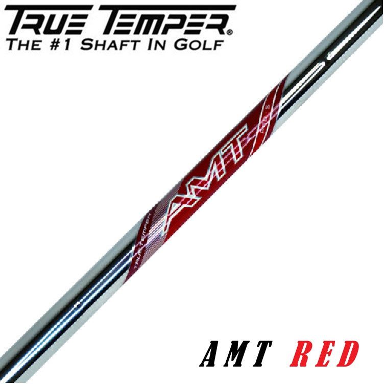 トゥルーテンパー TRUE TEMPER AMT レッド アイアン用