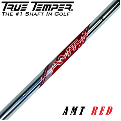 トゥルーテンパー TRUE TEMPER AMT レッド アイアン用