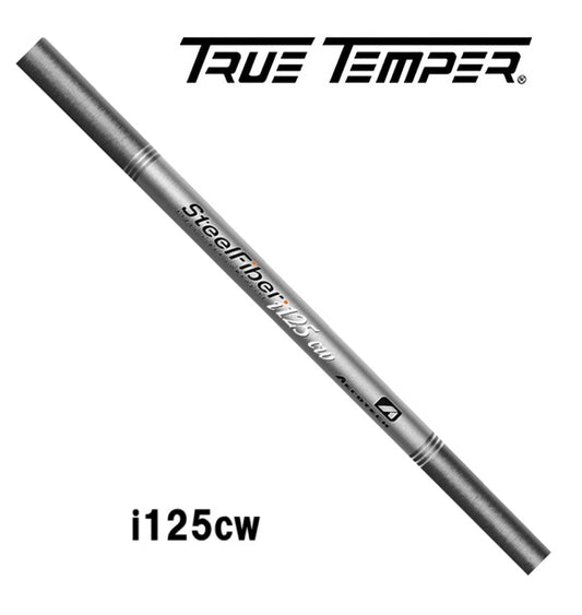 TRUE TEMPER　スチールファイバー I-125cw　アイアン