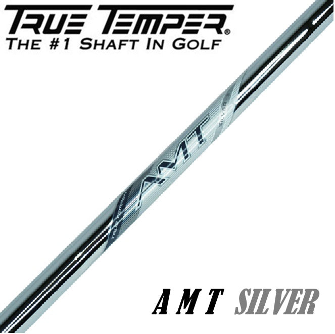 トゥルーテンパー TRUE TEMPER  AMT シルバー アイアン用