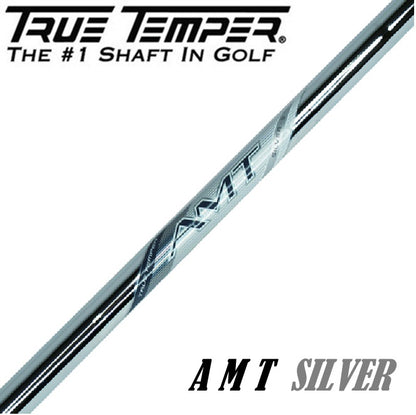 トゥルーテンパー TRUE TEMPER  AMT シルバー アイアン用